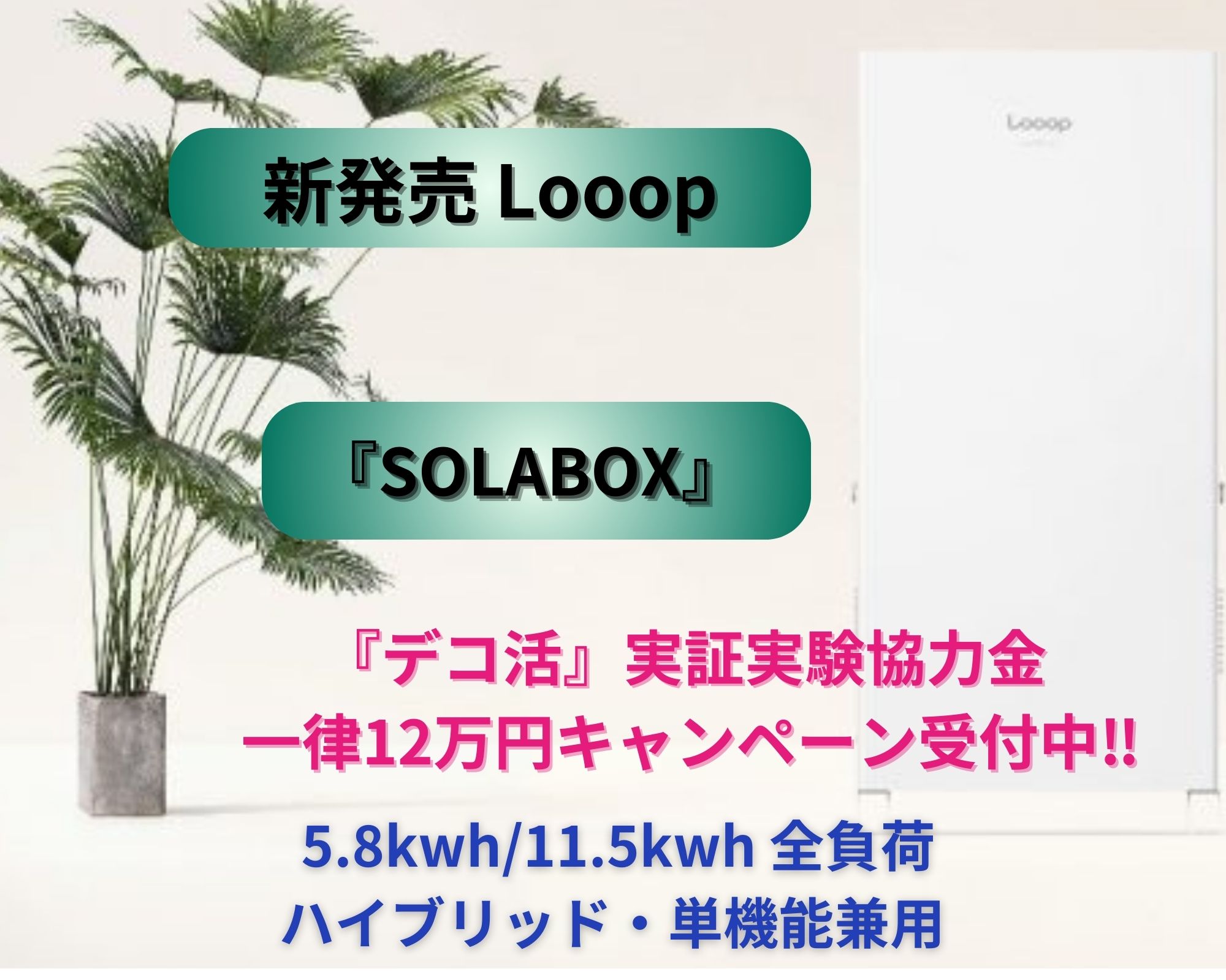 新発売Looop『SOLABOX』(5.5kwh/11.5kwh、全負荷、ハイブリッド・単機能兼用)